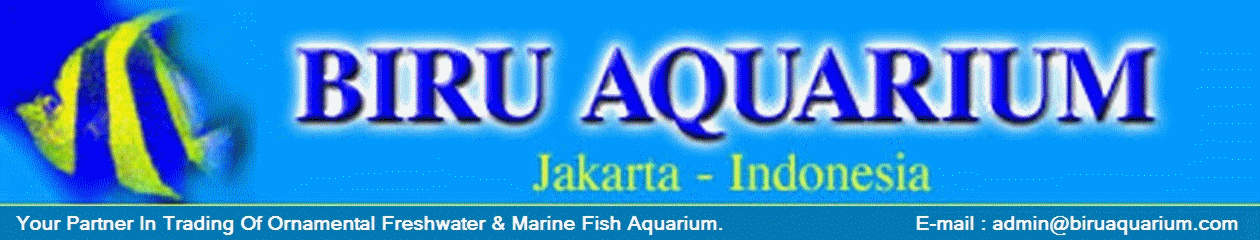 Biru Aquarium